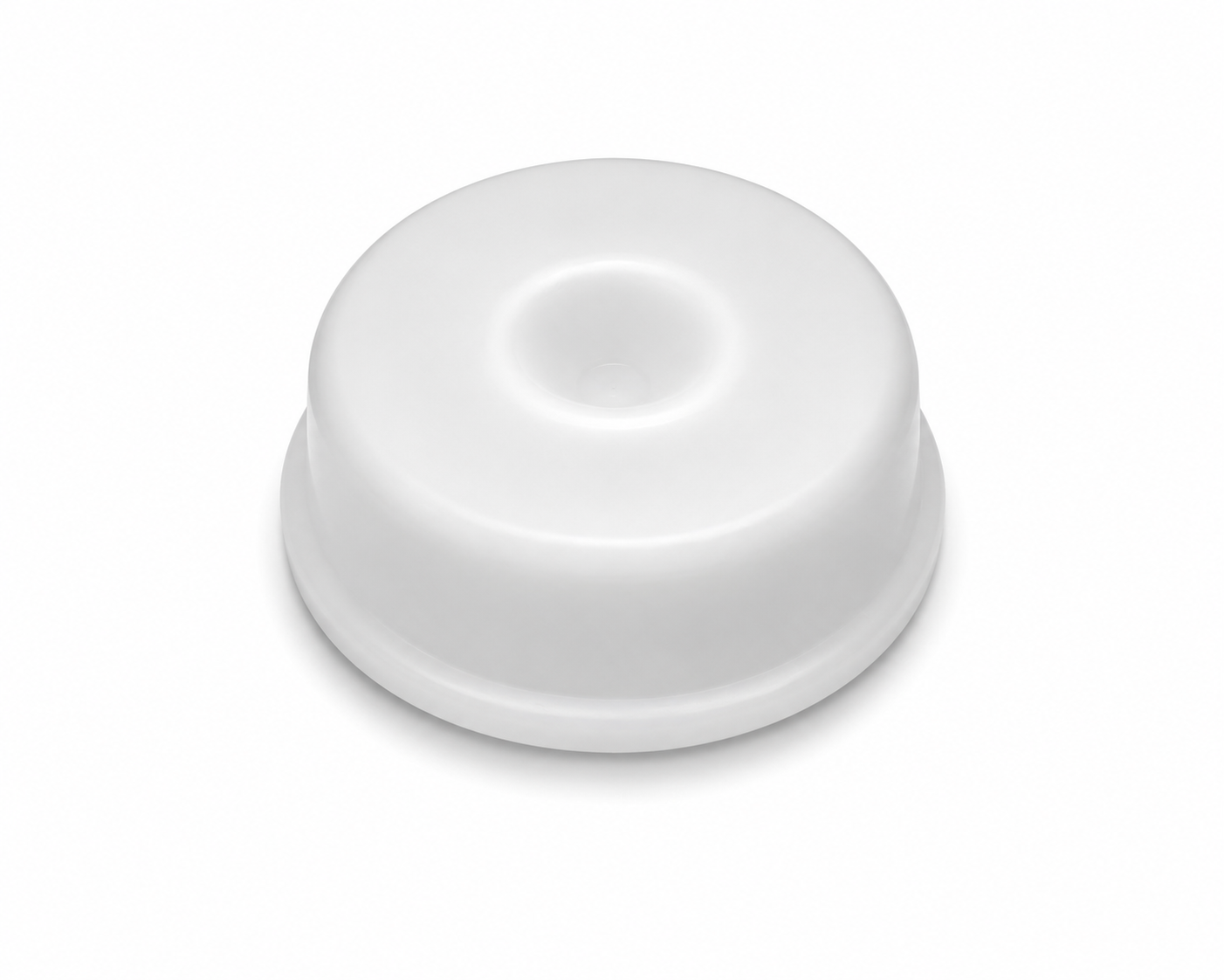 Filter Skimmer Basket Plug