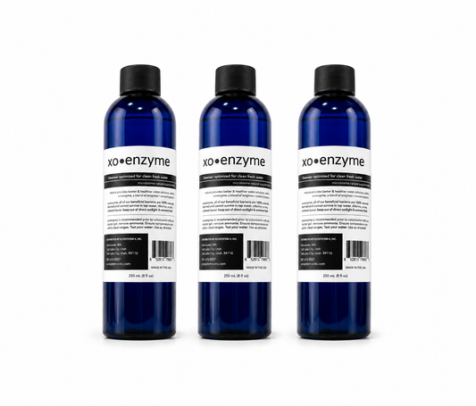 XO Enzyme Pack of 3
